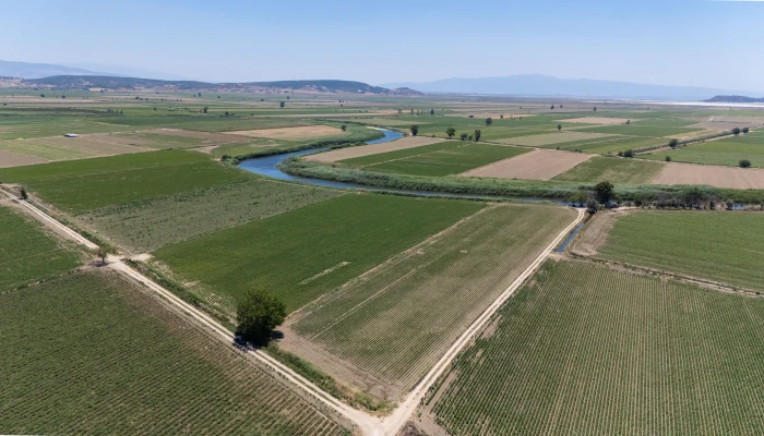 DJI_20240630125715_0066_D.jpg