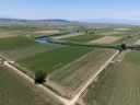 DJI_20240630125715_0066_D.jpg