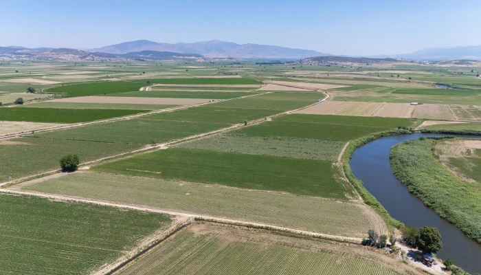 DJI_20240630125900_0074_D.jpg