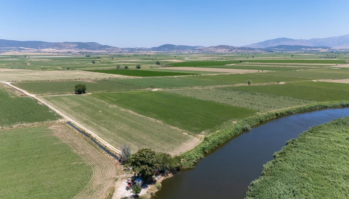 DJI_20240630125920_0076_D.jpg