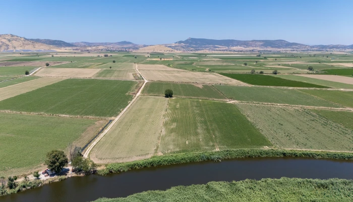 DJI_20240630125941_0078_D.jpg