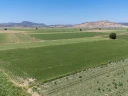 DJI_20240630130134_0087_D.jpg