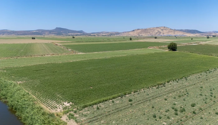 DJI_20240630130134_0087_D.jpg