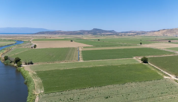 DJI_20240630130225_0090_D.jpg