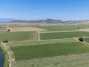 DJI_20240630130225_0090_D.jpg