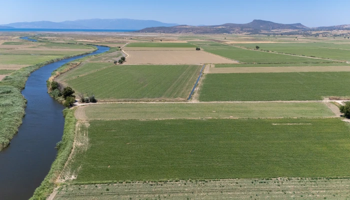 DJI_20240630130244_0091_D.jpg
