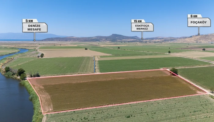 DJI_202240630130225_0090_D.jpg