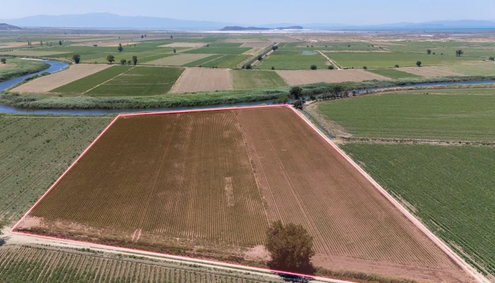 DJI_202402630125600_0061_D.jpg