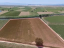 DJI_202402630125600_0061_D.jpg