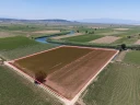 DJI_202406301225715_0066_D.jpg
