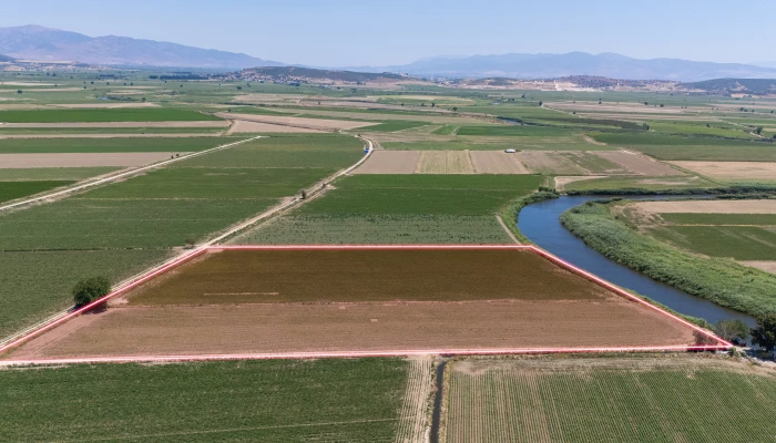 DJI_202406301225846_0073_D.jpg