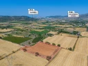 1DJI_20240906133622_0052_D.jpg