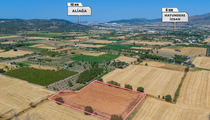 1DJI_20240906133622_0052_D.jpg