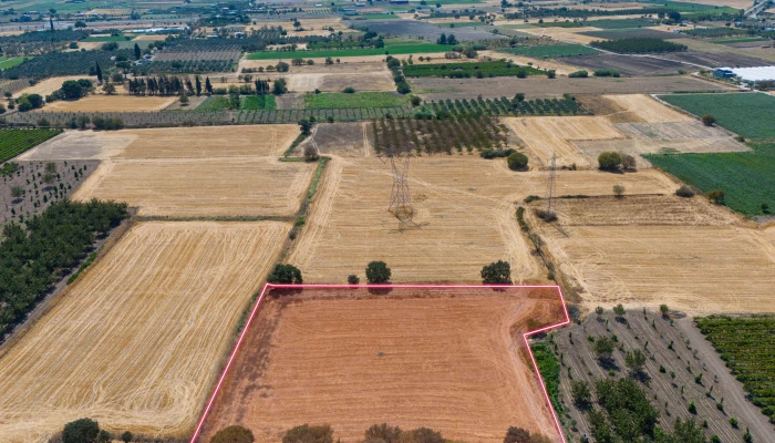 DJI_20240906133236_0033_D.jpg