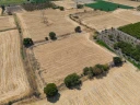 DJI_20240906133315_0036_D.jpg