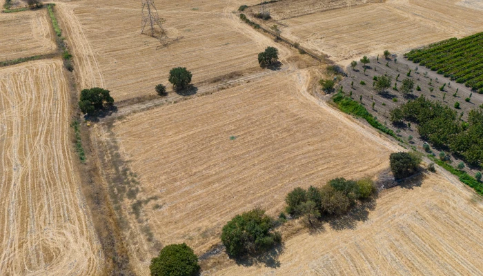 DJI_20240906133315_0036_D.jpg