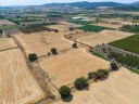 DJI_20240906133323_0037_D.jpg