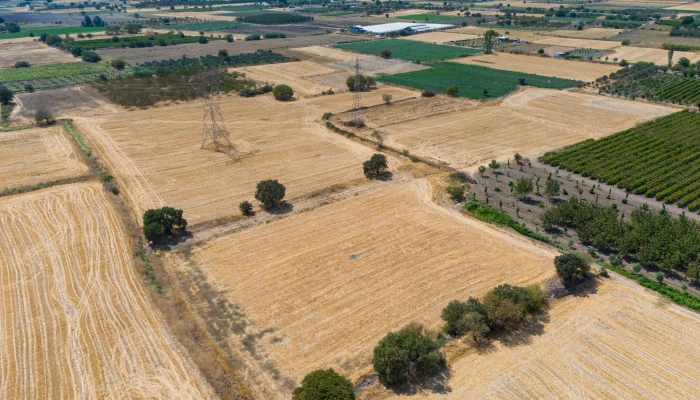 DJI_20240906133323_0037_D.jpg