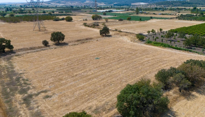 DJI_20240906133334_0038_D.jpg