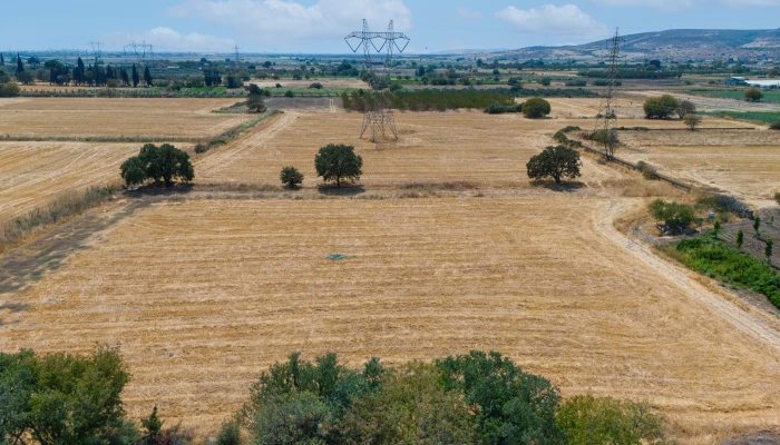 DJI_20240906133342_0039_D.jpg