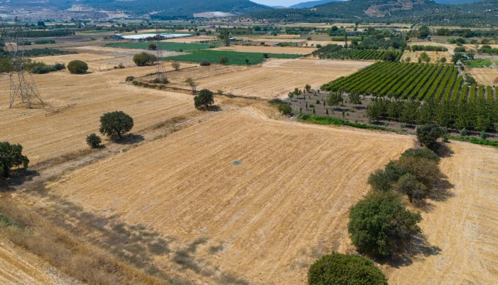 DJI_20240906133407_0041_D.jpg