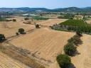 DJI_20240906133407_0041_D.jpg