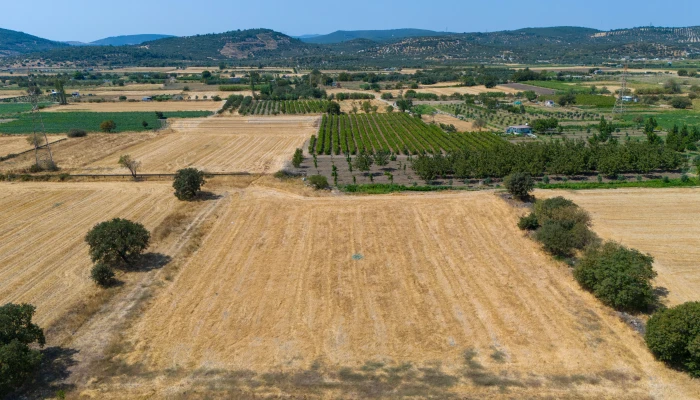 DJI_20240906133418_0042_D.jpg