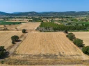 DJI_20240906133418_0042_D.jpg