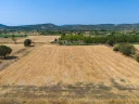 DJI_20240906133429_0043_D.jpg
