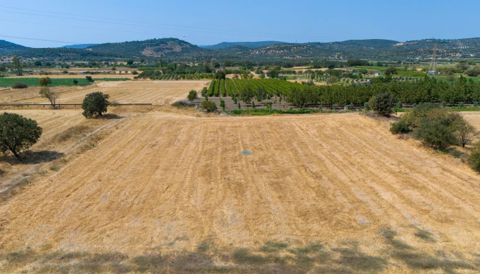 DJI_20240906133429_0043_D.jpg