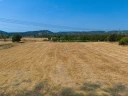 DJI_20240906133435_0044_D.jpg