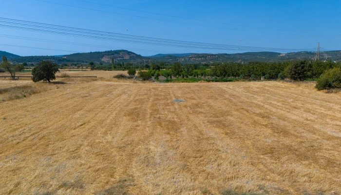 DJI_20240906133435_0044_D.jpg