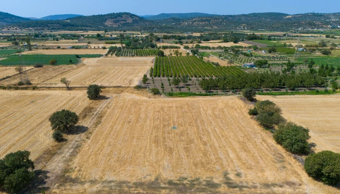 DJI_20240906133455_0046_D.jpg