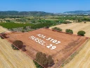 DJI_20240906133509_0047_D.jpg