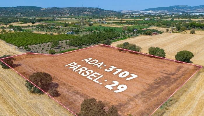 DJI_20240906133509_0047_D.jpg