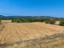 DJI_20240906133535_0049_D.jpg