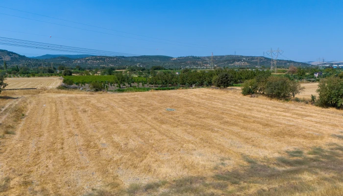 DJI_20240906133535_0049_D.jpg