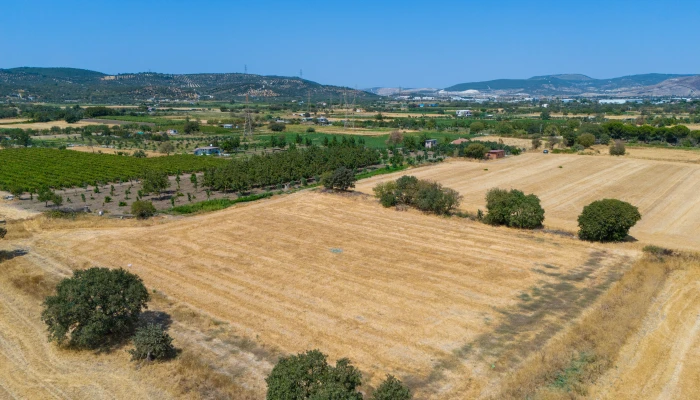 DJI_20240906133549_0050_D.jpg
