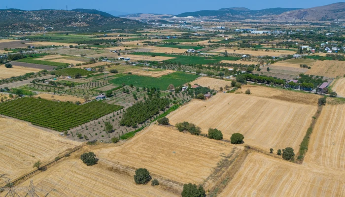 DJI_20240906133622_0052_D.jpg