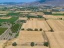 DJI_20240906133636_0053_D.jpg