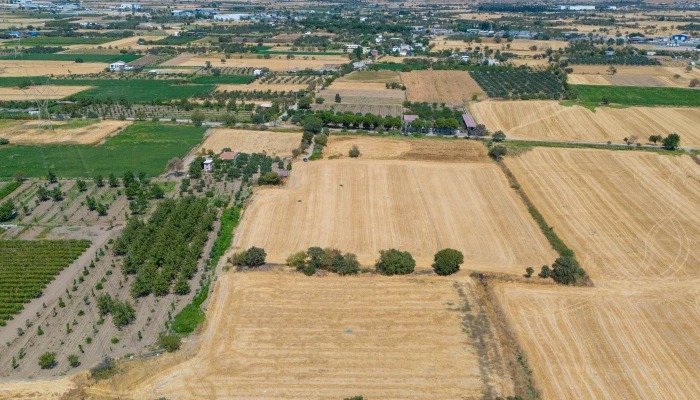 DJI_20240906133636_0053_D.jpg