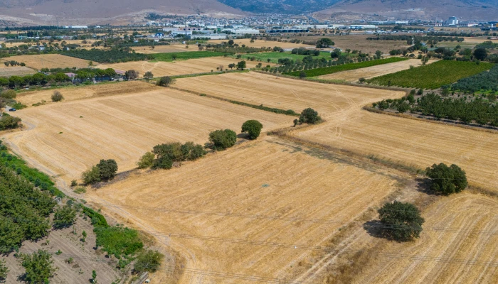 DJI_20240906133753_0058_D.jpg
