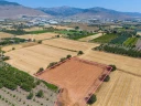 DJI_20240906133823_0060_D.jpg