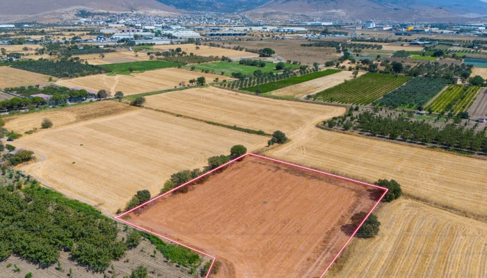DJI_20240906133823_0060_D.jpg
