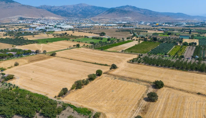 DJI_20240906133858_0063_D.jpg