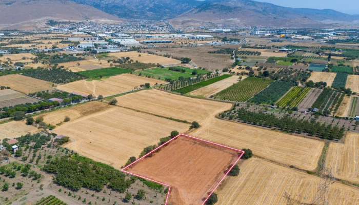 DJI_20240906133926_0065_D.jpg
