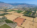 DJI_20240906133926_0065_D.jpg
