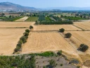 DJI_20240906134041_0069_D.jpg