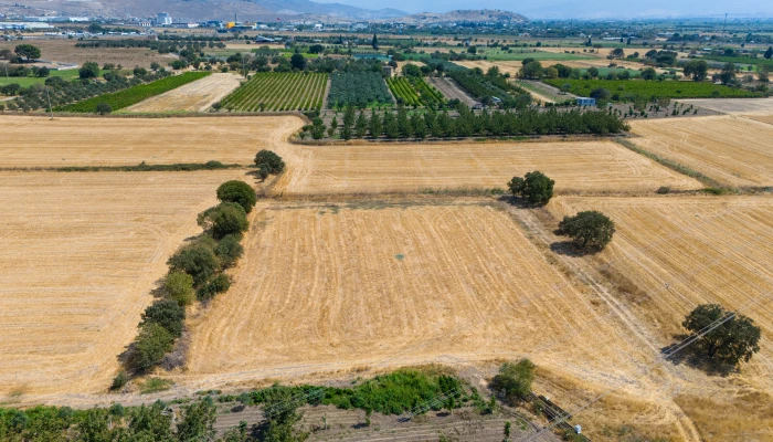 DJI_20240906134041_0069_D.jpg