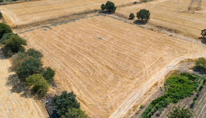 DJI_20240906134051_0070_D.jpg